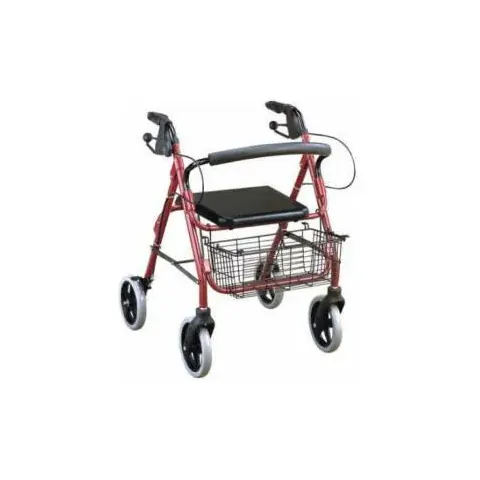 Tekerlekli yürüteç (rollator) (örnek görsel)